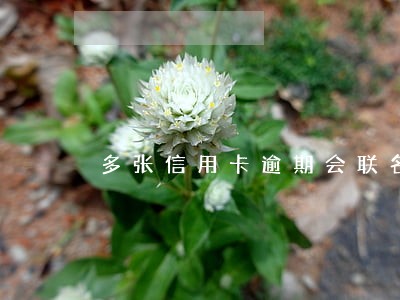 多张信用卡逾期会联名起诉嘛
