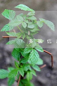 多张信用卡逾期低于5万 多张信用卡逾期低于5万