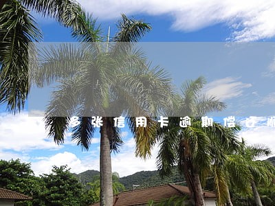 多张信用卡逾期偿还顺序 多张信用卡逾期偿还顺序