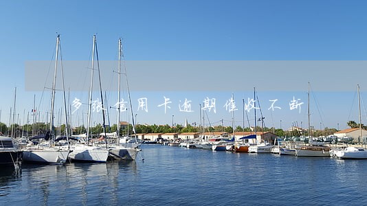 多张信用卡逾期催收不断