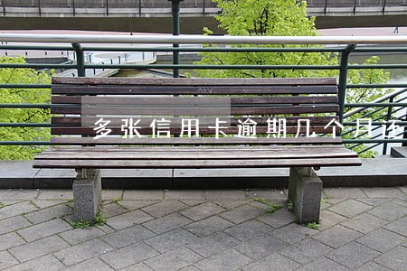 多张信用卡逾期几个月还不上