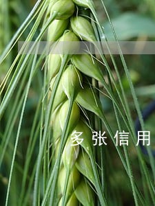 多张信用卡逾期可以买房贷款 多张信用卡逾期可以买房贷款