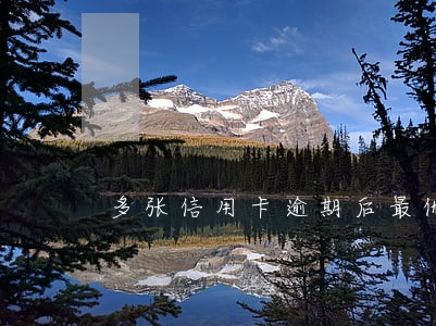 多张信用卡逾期后最优还款方法 多张信用卡逾期后最优还款方法