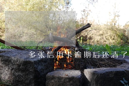 多张信用卡逾期后还清了其中一张 多张信用卡逾期后还清了其中一张