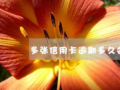 多张信用卡逾期多久会被起诉 多张信用卡逾期多久会被起诉