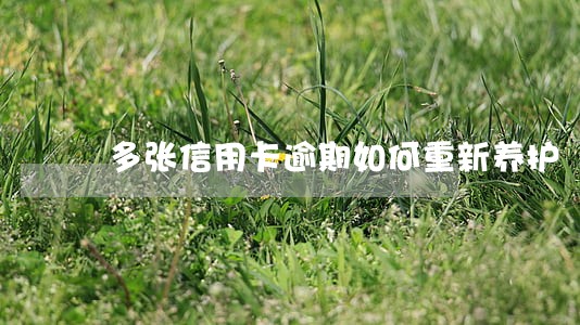 多张信用卡逾期如何重新养护 多张信用卡逾期如何重新养护