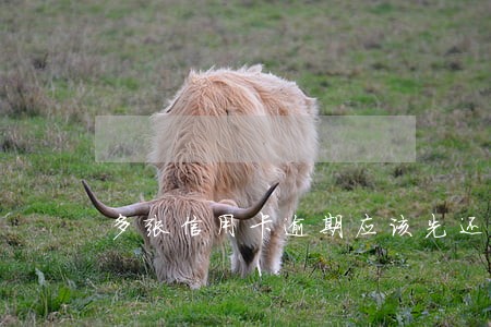 多张信用卡逾期应该先还哪张 多张信用卡逾期应该先还哪张