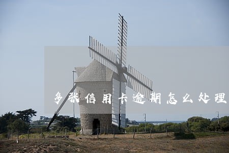 多张信用卡逾期怎么处理 多张信用卡逾期怎么处理