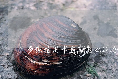 多张信用卡逾期怎么还合适 多张信用卡逾期怎么还合适