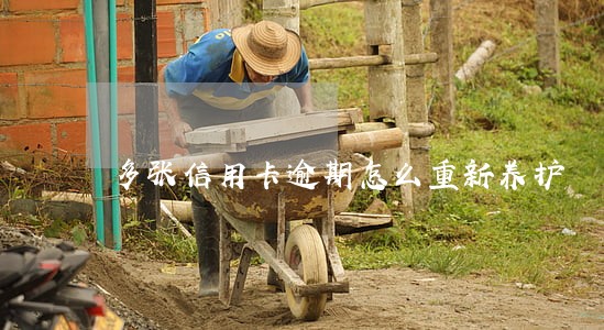 多张信用卡逾期怎么重新养护 多张信用卡逾期怎么重新养护