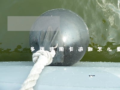 多张信用卡逾期怎么重新养护征信 多张信用卡逾期怎么重新养护征信