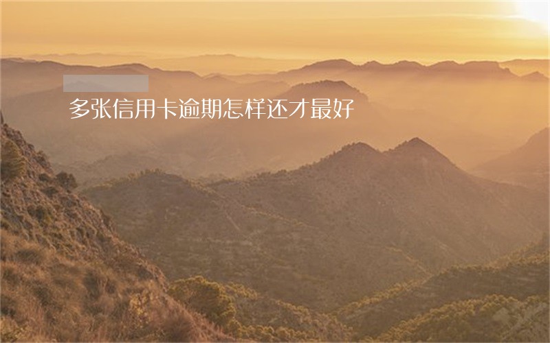 多张信用卡逾期怎样还才最好