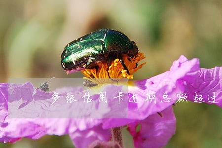 多张信用卡逾期总额超过5万 多张信用卡逾期总额超过5万