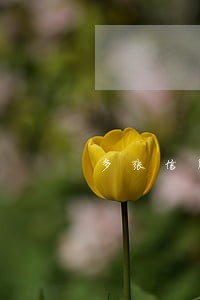 多张信用卡逾期感觉生活迷茫
