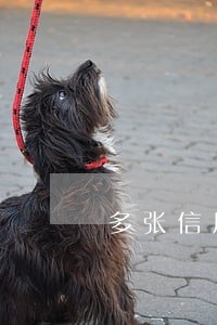 多张信用卡逾期无力偿还怎么协商