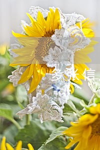 多张信用卡逾期被催收怎么办 多张信用卡逾期被催收怎么办