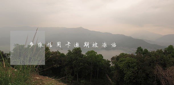 多张信用卡逾期被冻结 多张信用卡逾期被冻结