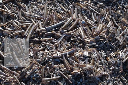 多张信用卡逾期该怎么协商 多张信用卡逾期该怎么协商