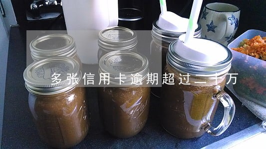 多张信用卡逾期超过二十万 多张信用卡逾期超过二十万