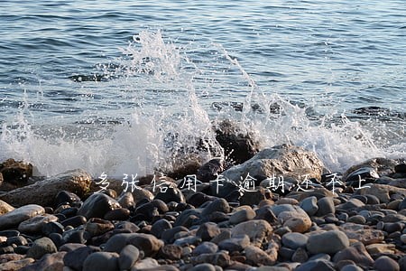 多张信用卡逾期还不上 多张信用卡逾期还不上