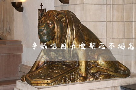 多张信用卡逾期还不起怎么办 多张信用卡逾期还不起怎么办