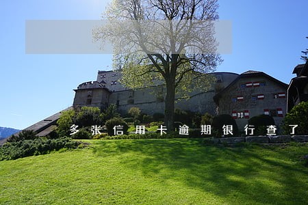 多张信用卡逾期银行查了 多张信用卡逾期银行查了
