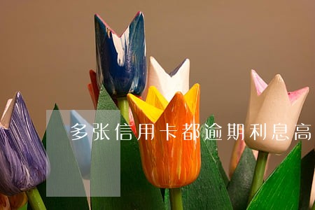 多张信用卡都逾期利息高吗 多张信用卡都逾期利息高吗