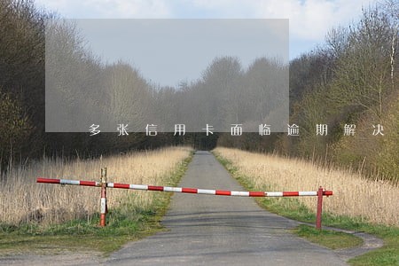 多张信用卡面临逾期解决办法 多张信用卡面临逾期解决办法