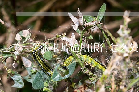 多张卡片逾期银行怎么处理 多张卡片逾期银行怎么处理