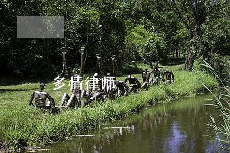多情律师 多情律师