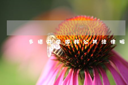 多措并举做好公共法律服务 多措并举做好公共法律服务