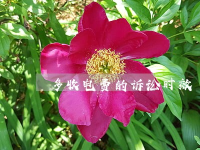 多收电费的诉讼时效