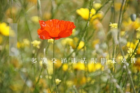 多次交通违法限期未处理将被处罚 多次交通违法限期未处理将被处罚