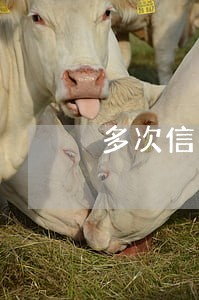 多次信用卡逾期三个月 多次信用卡逾期三个月