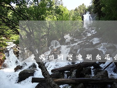 多次借网贷逾期未还会怎样 多次借网贷逾期未还会怎样