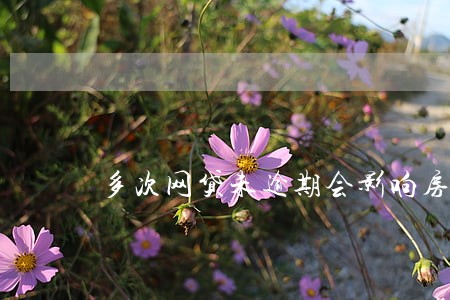 多次网贷未逾期会影响房贷嘛 多次网贷未逾期会影响房贷嘛