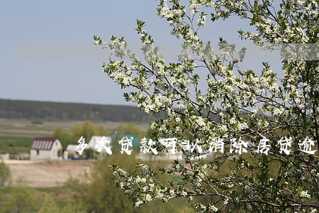 多次贷款可以消除房贷逾期 多次贷款可以消除房贷逾期