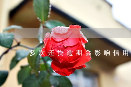 多次还贷逾期会影响信用吗 多次还贷逾期会影响信用吗