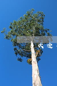 多次逾期信用卡过期