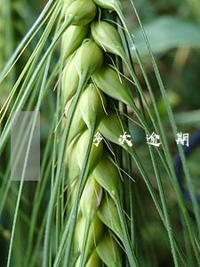 多次逾期公积金贷款 多次逾期公积金贷款