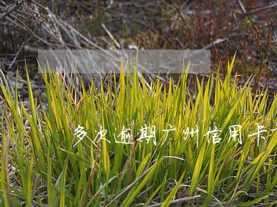 多次逾期广州信用卡下卡了 多次逾期广州信用卡下卡了