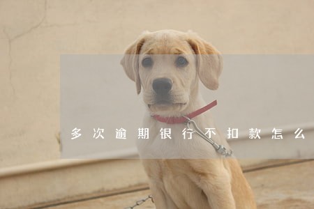 多次逾期银行不扣款怎么办 多次逾期银行不扣款怎么办