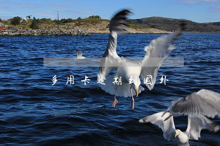 多用卡逾期到国外