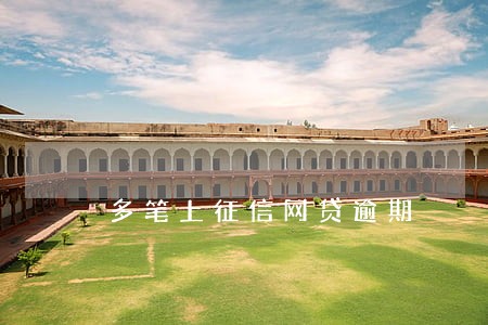 多笔上征信网贷逾期