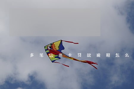 多笔信用卡贷款逾期怎么还 多笔信用卡贷款逾期怎么还