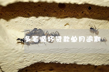 多笔循环贷款单月逾期 多笔循环贷款单月逾期