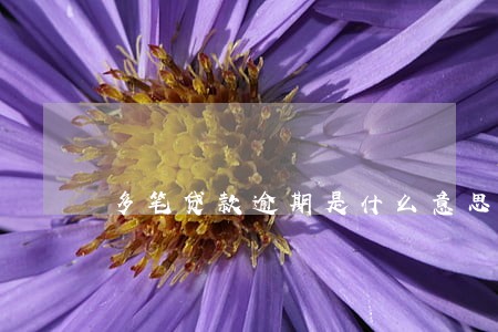 多笔贷款逾期是什么意思 多笔贷款逾期是什么意思