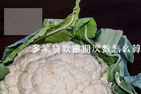 多笔贷款逾期次数怎么算 多笔贷款逾期次数怎么算