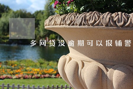多网贷没逾期可以报辅警吗 多网贷没逾期可以报辅警吗