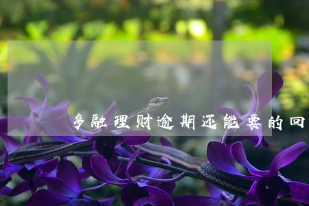多融理财逾期还能要的回来吗 多融理财逾期还能要的回来吗